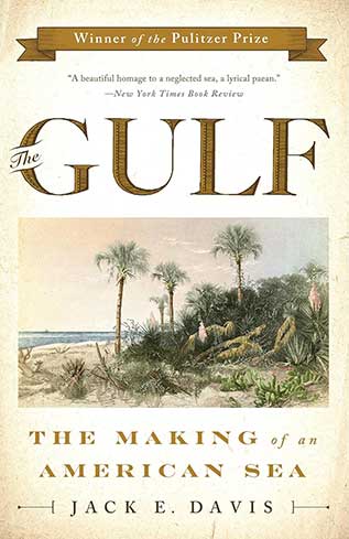 The Gulf: The Making of An American Sea by Jack E. Davis